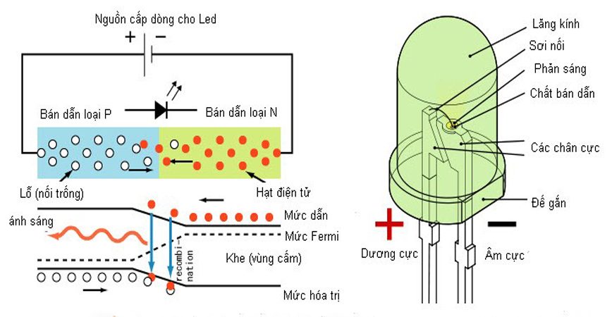 cau truc bong den