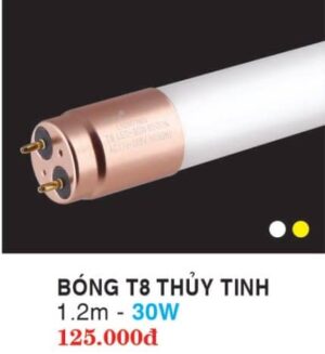 Bong Thuy Tinh