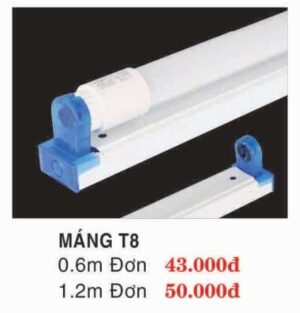 Mang T8 2