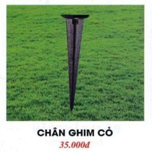 Chan Ghim Co 2