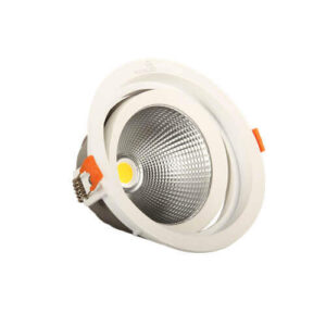 Den Led Am Tran Spotlight 10w Kingled Dlr10 T115