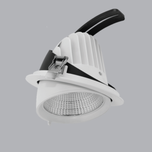 Downlight Dieu Chinh 1