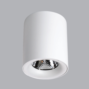 Downlight Tron Lap Noi