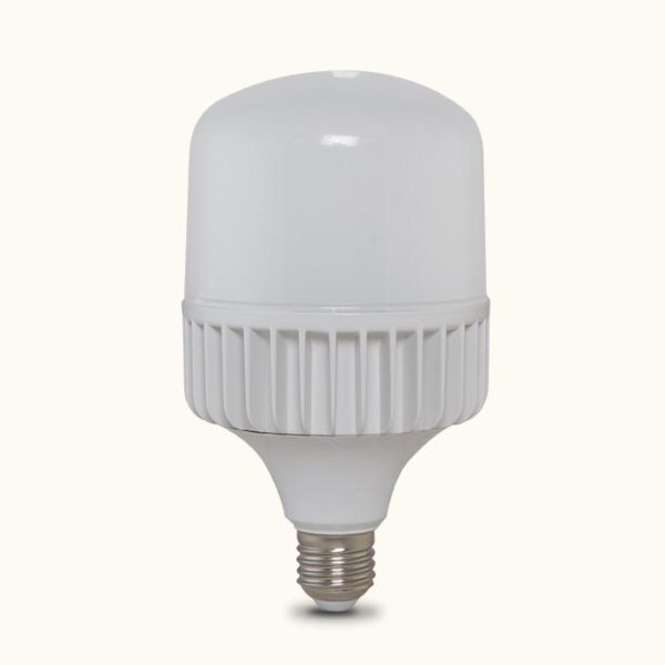 Bóng led bulb T80 20W/E27 - 2000lm
