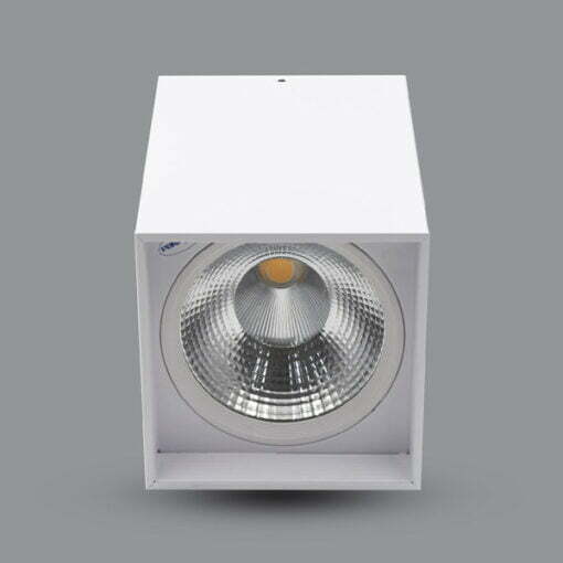 Đèn LED Downlight gắn nổi màu trắng 20W sáng trung tính Paragon PSDLL170L20-W/42