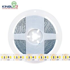 LED dây dán DC12V 22W KingLED