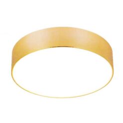 Đèn ốp trần Led