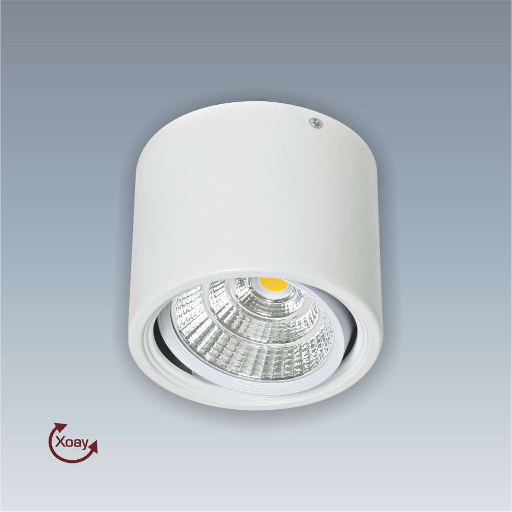 afc_647_t_led_12w