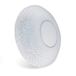 Đèn LED ốp trần D LN19L 490/40W – điều khiển bằng Remote Rạng Đông