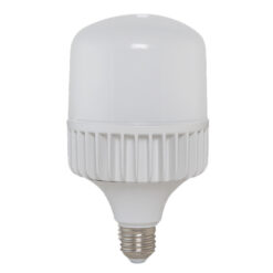Bóng đèn LED Búp trụ 30W TR100NĐ2/30W.H Rạng Đông