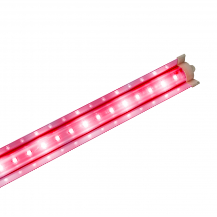 C490C3A8n-LED-chuyC3AAn-dE1BBA5ng-trE1BB93ng-rau-LED-TRR-12025W-100-RED.jpg