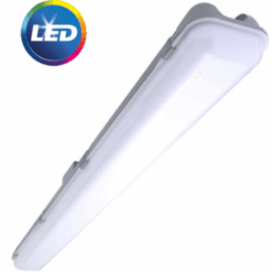 Đèn led chống ẩm WT008 LED60 Philips