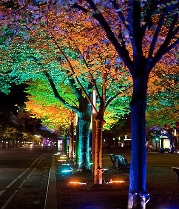 trang tri den duong pho