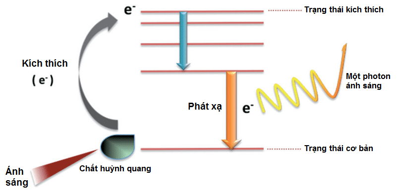 anh sang huynh quang l